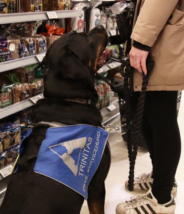 psykiatrisk-servicehund-butik